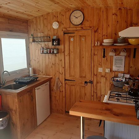 Anglesey New Modern Shepherds Hut With Spa Hot Tub Gwalchmai Экстерьер фото